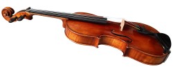 Violins